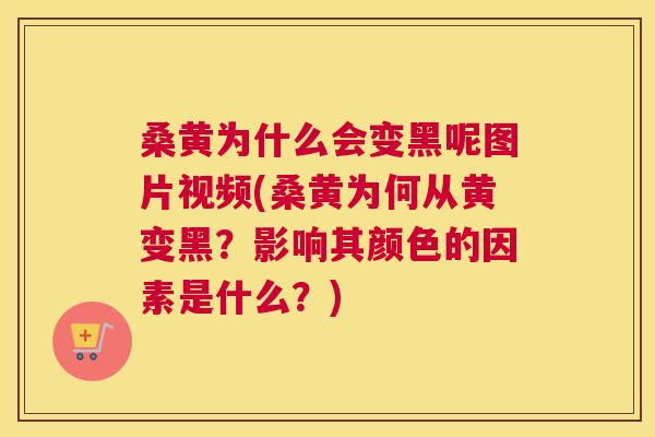 桑黄为什么会变黑呢图片视频(桑黄为何从黄变黑?影响其颜色的因素是什么?) 桑黄为什么会变黑呢图片视频(桑黄为何从黄变黑?影响其颜色的因素是什么?)