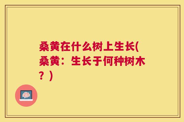 桑黄在什么树上生长(桑黄:生长于何种树木?) 桑黄在什么树上生长(桑黄:生长于何种树木?)
