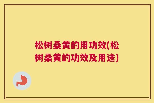 松树桑黄的用功效(松树桑黄的功效及用途)