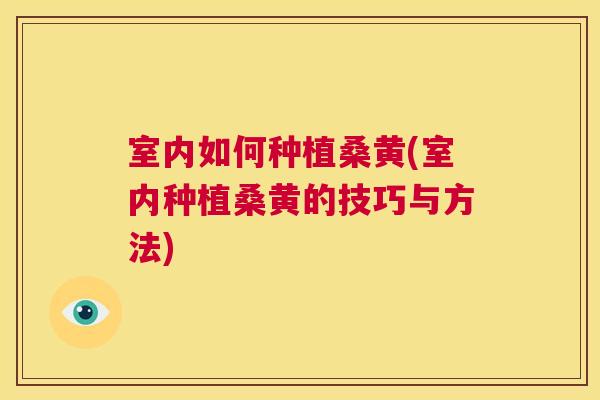 室内如何种植桑黄(室内种植桑黄的技巧与方法)
