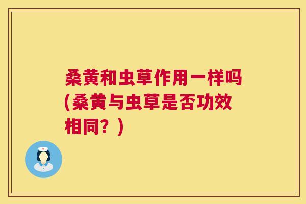 桑黄和虫草作用一样吗(桑黄与虫草是否功效相同?) 桑黄和虫草作用一样吗(桑黄与虫草是否功效相同?)