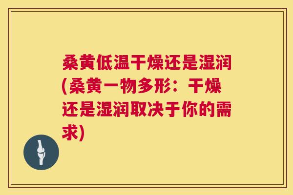 桑黄低温干燥还是湿润(桑黄一物多形:干燥还是湿润取决于你的需求) 桑黄低温干燥还是湿润(桑黄一物多形:干燥还是湿润取决于你的需求)