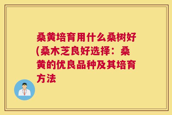 桑黄培育用什么桑树好(桑木芝良好选择:桑黄的优良品种及其培育方法 桑黄培育用什么桑树好(桑木芝良好选择:桑黄的优良品种及其培育方法