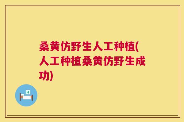 桑黄仿野生人工种植(人工种植桑黄仿野生成功) 桑黄仿野生人工种植(人工种植桑黄仿野生成功)