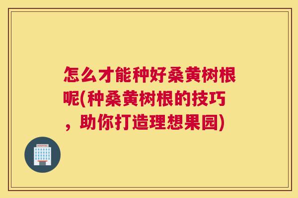 怎么才能种好桑黄树根呢(种桑黄树根的技巧,助你打造理想果园) 怎么才能种好桑黄树根呢(种桑黄树根的技巧,助你打造理想果园)