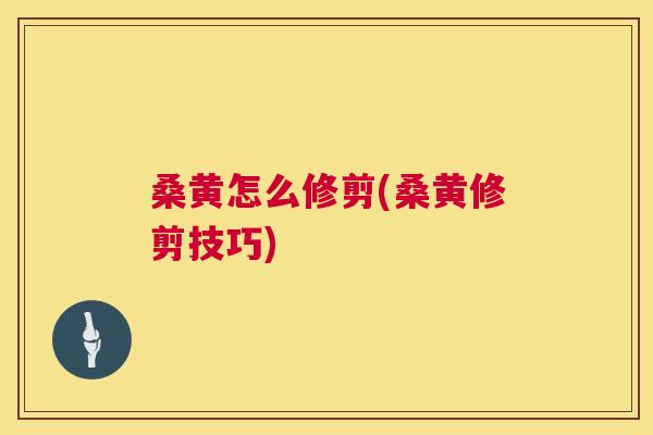 桑黄怎么修剪(桑黄修剪技巧) 桑黄怎么修剪(桑黄修剪技巧)