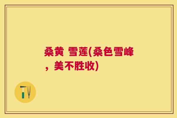 桑黄 雪莲(桑色雪峰,美不胜收) 桑黄 雪莲(桑色雪峰,美不胜收)