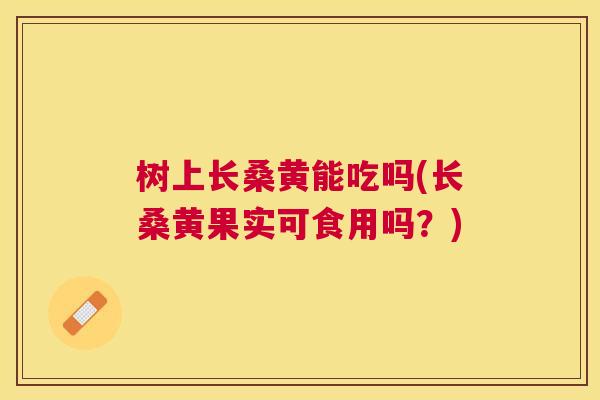 树上长桑黄能吃吗(长桑黄果实可食用吗?) 树上长桑黄能吃吗(长桑黄果实可食用吗?)