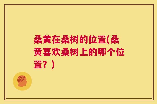 桑黄在桑树的位置(桑黄喜欢桑树上的哪个位置？)