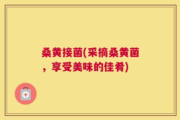 桑黄接菌(采摘桑黄菌,享受美味的佳肴) 桑黄接菌(采摘桑黄菌,享受美味的佳肴)