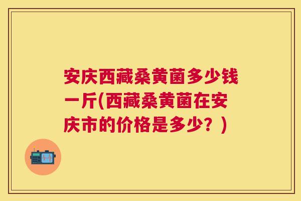 安庆西藏桑黄菌多少钱一斤(西藏桑黄菌在安庆市的价格是多少？)