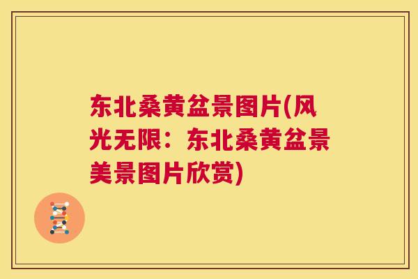 东北桑黄盆景图片(风光无限:东北桑黄盆景美景图片欣赏) 东北桑黄盆景图片(风光无限:东北桑黄盆景美景图片欣赏)