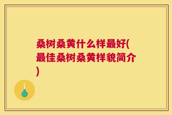 桑树桑黄什么样好(佳桑树桑黄样貌简介) 桑树桑黄什么样好(佳桑树桑黄样貌简介)