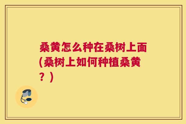 桑黄怎么种在桑树上面(桑树上如何种植桑黄?) 桑黄怎么种在桑树上面(桑树上如何种植桑黄?)