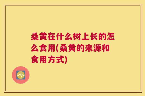 桑黄在什么树上长的怎么食用(桑黄的来源和食用方式) 桑黄在什么树上长的怎么食用(桑黄的来源和食用方式)