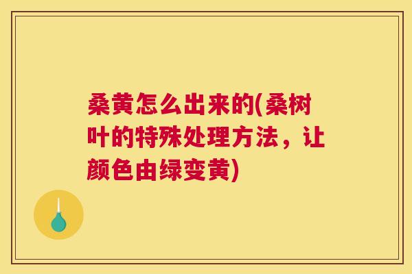 桑黄怎么出来的(桑树叶的特殊处理方法,让颜色由绿变黄) 桑黄怎么出来的(桑树叶的特殊处理方法,让颜色由绿变黄)