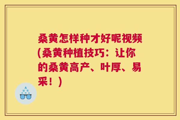 桑黄怎样种才好呢视频(桑黄种植技巧:让你的桑黄高产、叶厚、易采!) 桑黄怎样种才好呢视频(桑黄种植技巧:让你的桑黄高产、叶厚、易采!)