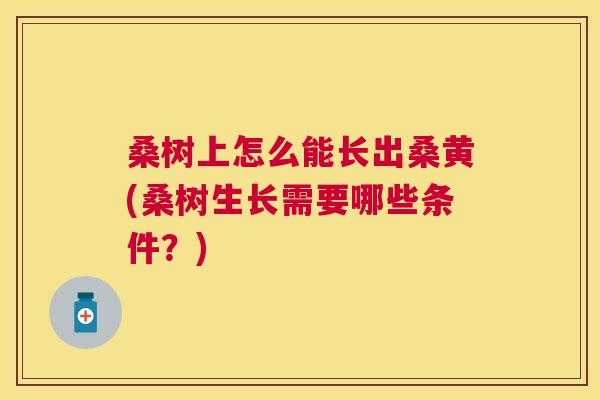 桑树上怎么能长出桑黄(桑树生长需要哪些条件?) 桑树上怎么能长出桑黄(桑树生长需要哪些条件?)