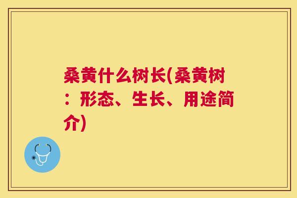 桑黄什么树长(桑黄树:形态、生长、用途简介) 桑黄什么树长(桑黄树:形态、生长、用途简介)
