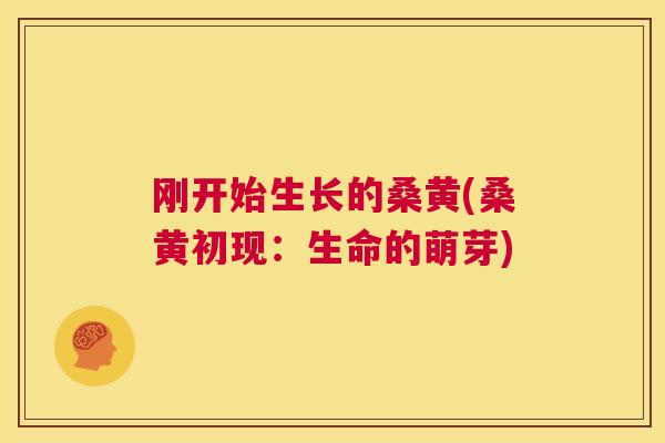 刚开始生长的桑黄(桑黄初现:生命的萌芽) 刚开始生长的桑黄(桑黄初现:生命的萌芽)