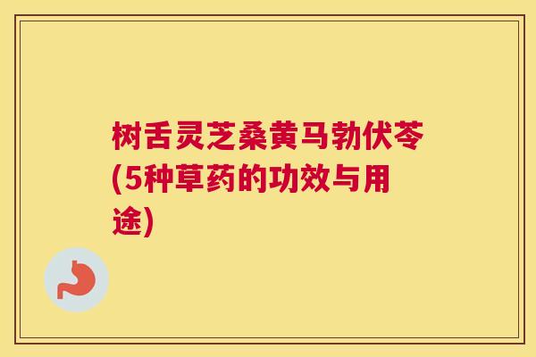 树舌灵芝桑黄马勃伏苓(5种草药的功效与用途) 树舌灵芝桑黄马勃伏苓(5种草药的功效与用途)
