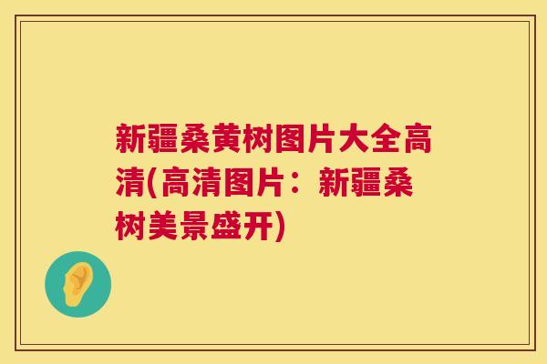 新疆桑黄树图片大全高清(高清图片:新疆桑树美景盛开) 新疆桑黄树图片大全高清(高清图片:新疆桑树美景盛开)