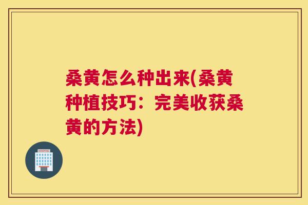 桑黄怎么种出来(桑黄种植技巧:完美收获桑黄的方法) 桑黄怎么种出来(桑黄种植技巧:完美收获桑黄的方法)