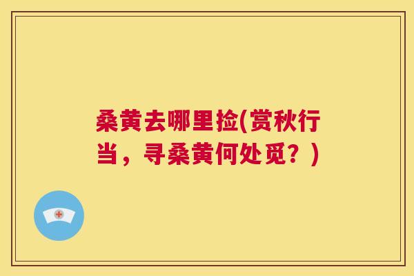 桑黄去哪里捡(赏秋行当，寻桑黄何处觅？)
