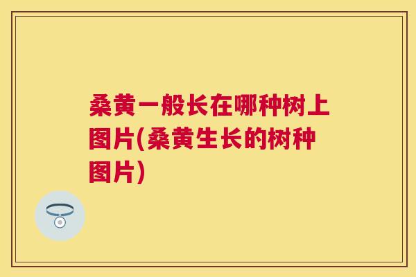 桑黄一般长在哪种树上图片(桑黄生长的树种图片) 桑黄一般长在哪种树上图片(桑黄生长的树种图片)