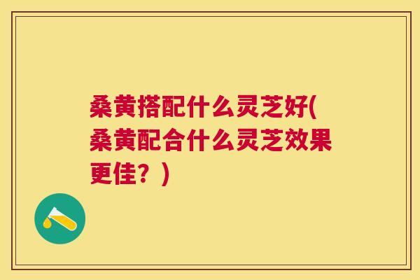 桑黄搭配什么灵芝好(桑黄配合什么灵芝效果更佳?) 桑黄搭配什么灵芝好(桑黄配合什么灵芝效果更佳?)