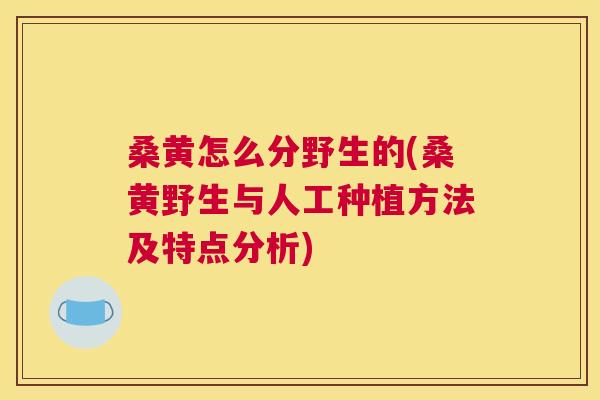 桑黄怎么分野生的(桑黄野生与人工种植方法及特点分析)