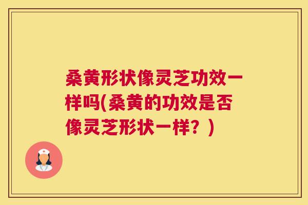 桑黄形状像灵芝功效一样吗(桑黄的功效是否像灵芝形状一样?) 桑黄形状像灵芝功效一样吗(桑黄的功效是否像灵芝形状一样?)