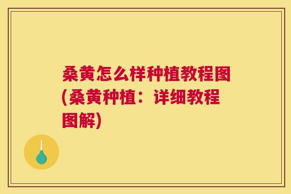 桑黄怎么样种植教程图(桑黄种植:详细教程图解) 桑黄怎么样种植教程图(桑黄种植:详细教程图解)