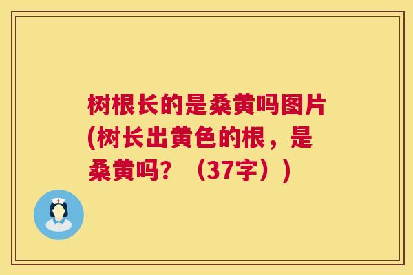 树根长的是桑黄吗图片(树长出黄色的根,是桑黄吗?(37字)) 树根长的是桑黄吗图片(树长出黄色的根,是桑黄吗?(37字))