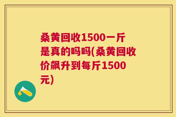 桑黄回收1500一斤是真的吗吗(桑黄回收价飙升到每斤1500元)