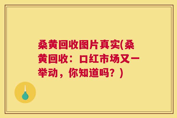 桑黄回收图片真实(桑黄回收:口红市场又一举动,你知道吗?) 桑黄回收图片真实(桑黄回收:口红市场又一举动,你知道吗?)