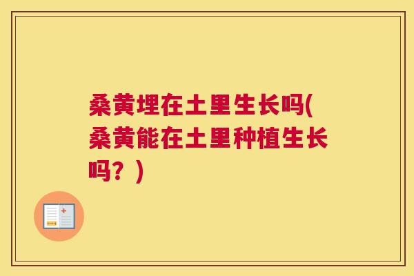 桑黄埋在土里生长吗(桑黄能在土里种植生长吗?) 桑黄埋在土里生长吗(桑黄能在土里种植生长吗?)