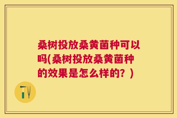 桑树投放桑黄菌种可以吗(桑树投放桑黄菌种的效果是怎么样的?) 桑树投放桑黄菌种可以吗(桑树投放桑黄菌种的效果是怎么样的?)