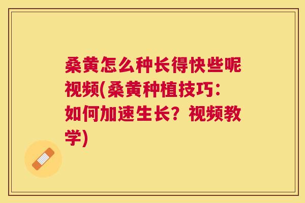 桑黄怎么种长得快些呢视频(桑黄种植技巧:如何加速生长?视频教学) 桑黄怎么种长得快些呢视频(桑黄种植技巧:如何加速生长?视频教学)