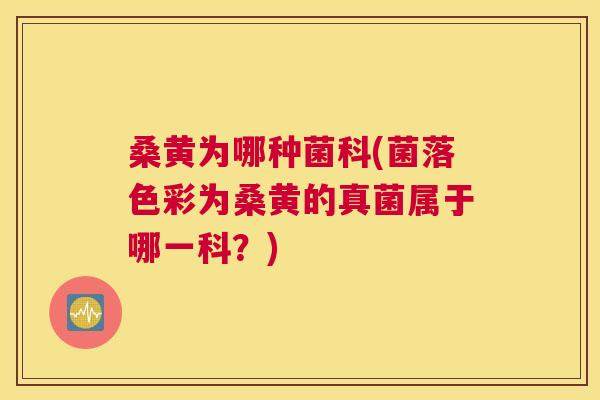 桑黄为哪种菌科(菌落色彩为桑黄的真菌属于哪一科？)