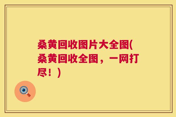 桑黄回收图片大全图(桑黄回收全图,一网打尽!) 桑黄回收图片大全图(桑黄回收全图,一网打尽!)