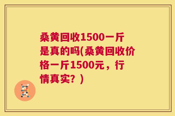 桑黄回收1500一斤是真的吗(桑黄回收价格一斤1500元,行情真实?) 桑黄回收1500一斤是真的吗(桑黄回收价格一斤1500元,行情真实?)