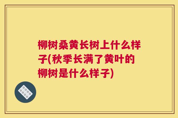 柳树桑黄长树上什么样子(秋季长满了黄叶的柳树是什么样子) 柳树桑黄长树上什么样子(秋季长满了黄叶的柳树是什么样子)