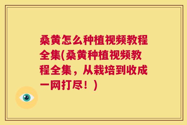 桑黄怎么种植视频教程全集(桑黄种植视频教程全集,从栽培到收成一网打尽!) 桑黄怎么种植视频教程全集(桑黄种植视频教程全集,从栽培到收成一网打尽!)