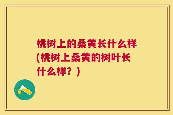 桃树上的桑黄长什么样(桃树上桑黄的树叶长什么样?) 桃树上的桑黄长什么样(桃树上桑黄的树叶长什么样?)