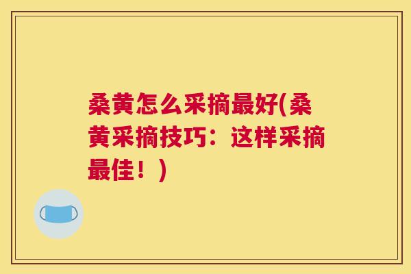 桑黄怎么采摘好(桑黄采摘技巧:这样采摘佳!) 桑黄怎么采摘好(桑黄采摘技巧:这样采摘佳!)