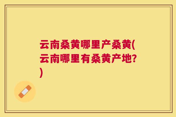 云南桑黄哪里产桑黄(云南哪里有桑黄产地？)