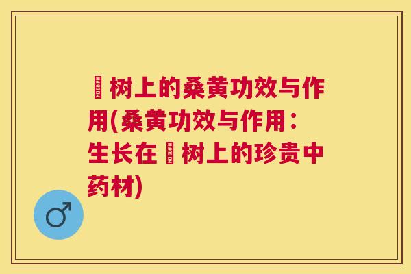 枊树上的桑黄功效与作用(桑黄功效与作用:生长在枊树上的珍贵材) 枊树上的桑黄功效与作用(桑黄功效与作用:生长在枊树上的珍贵材)