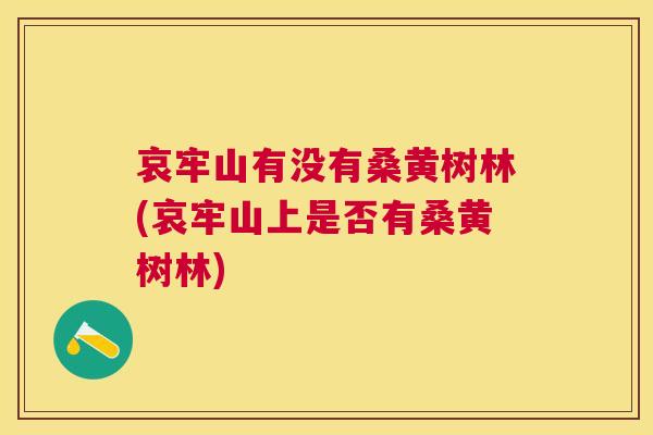 哀牢山有没有桑黄树林(哀牢山上是否有桑黄树林) 哀牢山有没有桑黄树林(哀牢山上是否有桑黄树林)