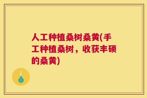 人工种植桑树桑黄(手工种植桑树,收获丰硕的桑黄) 人工种植桑树桑黄(手工种植桑树,收获丰硕的桑黄)